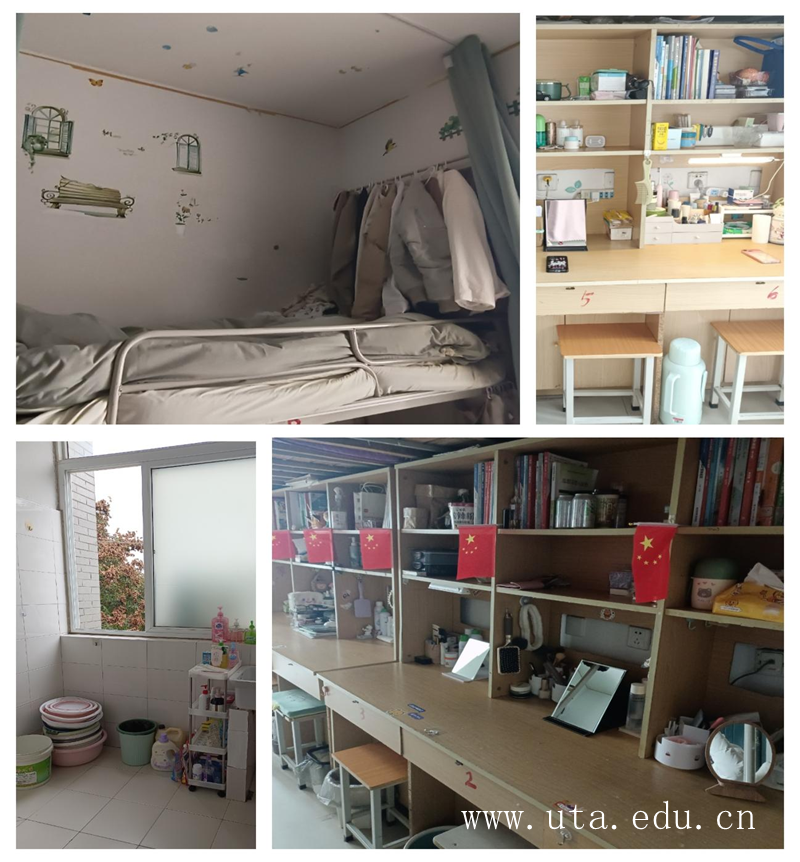 一室温暖 共绽芳华 现代商务学院举办寝室文化设计大赛